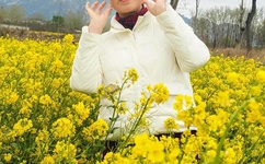 雯雅婷漫画全集图片